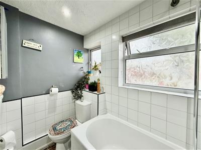 Picture 11